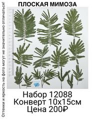 242cc1bded0c4ac6a329adb980998949