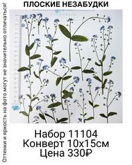 242eff6970d14d7191cd1b43a0204b66