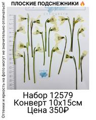 28d0ef7ab80b461285f7ad169314ad17