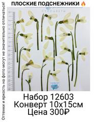 2e4c65527d7844f4b85140baab0621a0