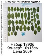 2fb2bdd4921245169db03f3f75831503