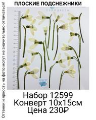 326210d607a74c0082679cefa24b4454