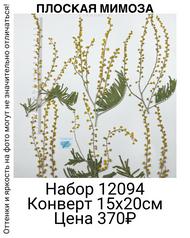 4d5865bcdf2443c0bc2baf1d8a35ef80