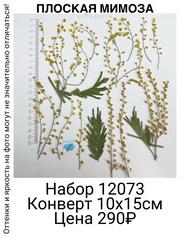 4fcbd4f455d142c4bd795066a3644b72