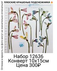 5132b35a8db4495798d494f73223eca0