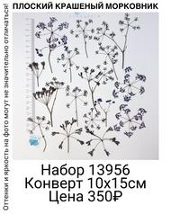 51694958fb304edebe87f8fb5cf7f037