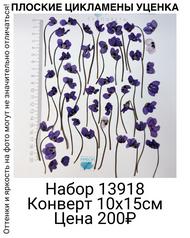55a63ce29acf44a88a68b4350ef0932e