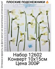 56eeaaa4fd9f450f85dcd895178c1d9b