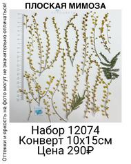 58e135691e684a48a5f965b84b9379d0