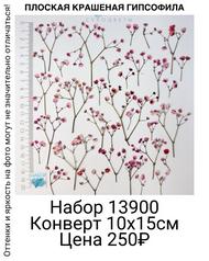 6052a886f927480e9bf0e304e0f66668