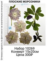 6111a9d06b014dcd9473db609c6a6da1
