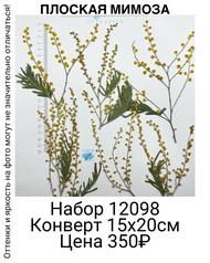 62496ae66c024c7088731efac22250b0