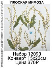 647daafb2d7542e68ae8f86bf1cdd6e8