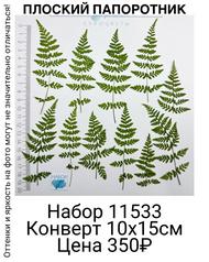 6c15aec5f4e7405db762167c3320f63c