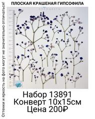 71adcbc1a5504a6a9180ba42c944dc31