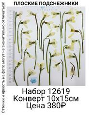 724952c8f8f84e4681c9ecee121020e3