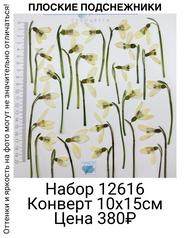 76f91099ff704f33b34042be3b24ae13