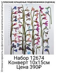 7e0dd629a0d7478bb21f0a999c9b2960