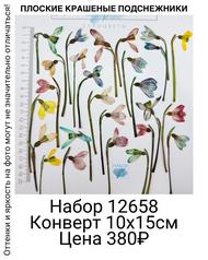 81ed11766c354c58b00aabb3cd561313