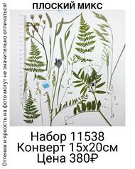 832c07e430aa4eabaa55be728ff74ac7