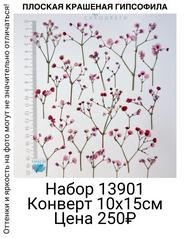 89260fe189fe4db69f59631d26af386c