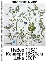 8d0c70aa275547a6970d5f4610ec4d53