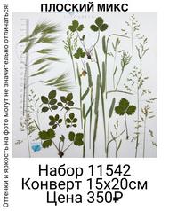 8f30e0228b56490b9c3cd4bbcefe1618