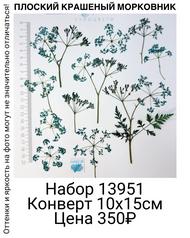 99d280c57f7e435fa8351507424066c9