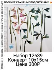 9c4be9f05c4948d09aa9ab360eb10ae0