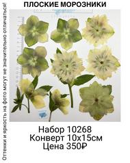 9cfbf31c8a58478ea0c2c2f0bd4e117f