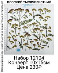 a1184ce9ab664c0d993a75770e54aa04