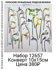 a6ed8fd542624a9185defe6eb42a5ab5