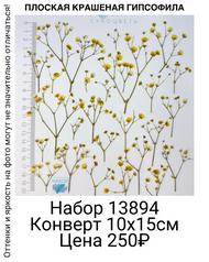 ad9c8c4a3c024858a35fcec48bf2b35a
