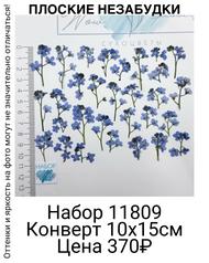 aef97461795d478b9bf7682df938aa7c