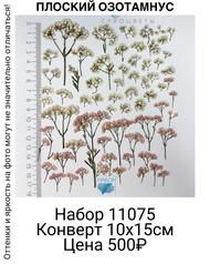 b64971ce26d845c997692f6d917fdaad