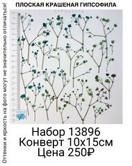 b6f9587713474e1081749d380432bdb9