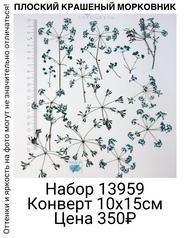 c268ad1da44e47e1a77a87ac71b28706