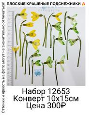 c815a5f1acd540fbac8e8d5b4ea251b8