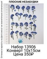 cca306c8ee004a439cae042dc6f52a71