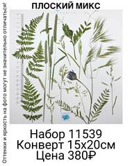 d7b25a8ea1464bfa8271f0cf546321bc