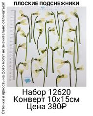 daec93e7dc83439185e1f88dbdcdcaf9