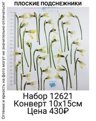 db455ef24c69424da535f4abc76af5d8