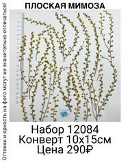 eab8e712053f4665ae07b7a464c64b3f