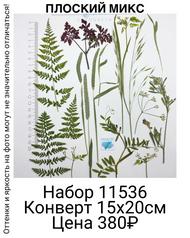 eb12dabe6ee94cf99c024e6dc2bd9245