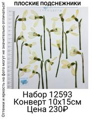 f09f0fe7e10649beaed6e7f90a7f66ea