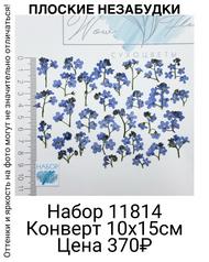 f23fc86c23354a368ec1e4a82e029168