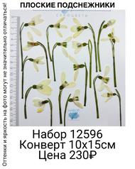 f3263a8761ff4a75bd9441c533708e65