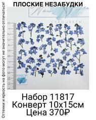 f7aa867d1fdb4adabd6d0444cc551896