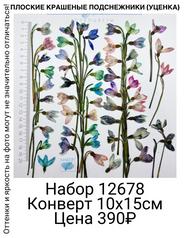 fc63e622a3604f21aef56274c96e5101