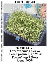 110e3ecfd51a46a89090f07eef598e97